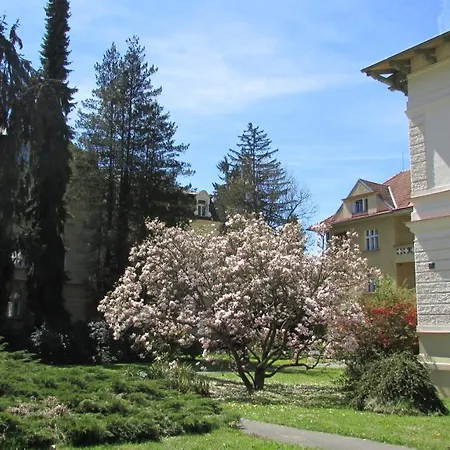 Luha * Luhačovice